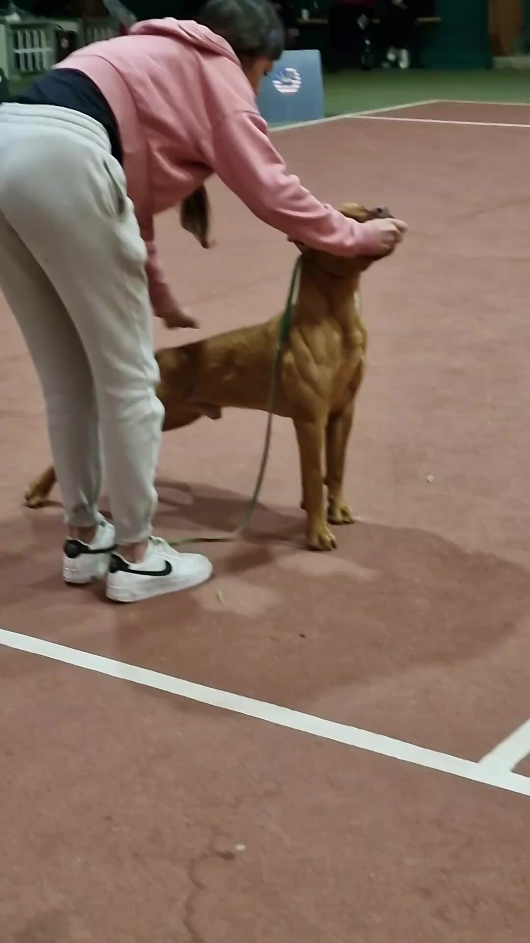 @Raoul's apbt