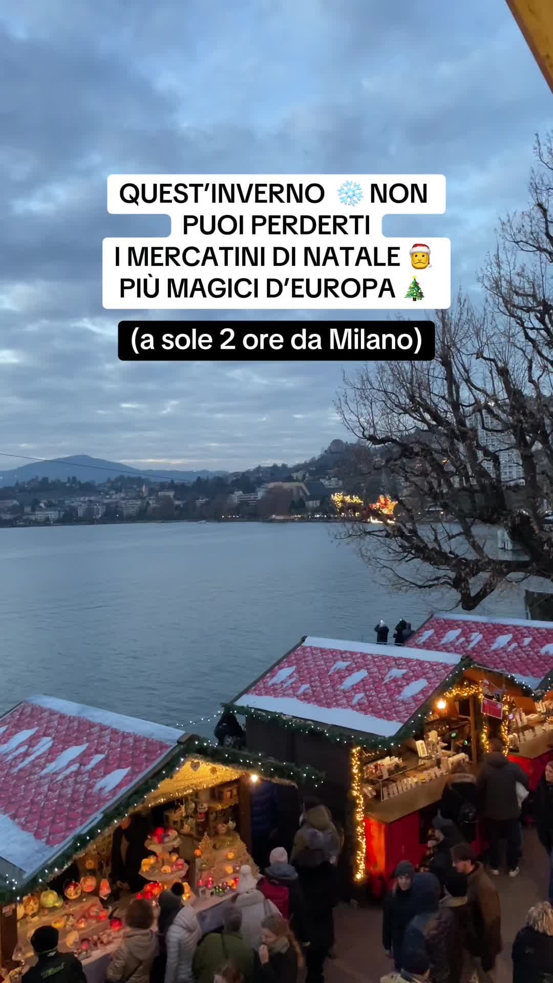 @lazzaroniontour