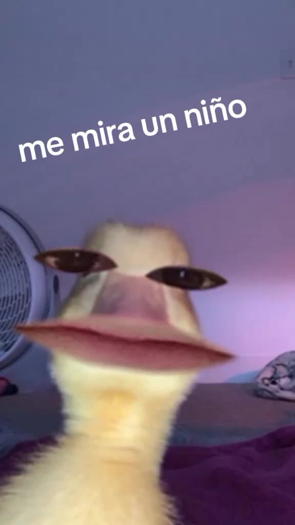 @Dayre