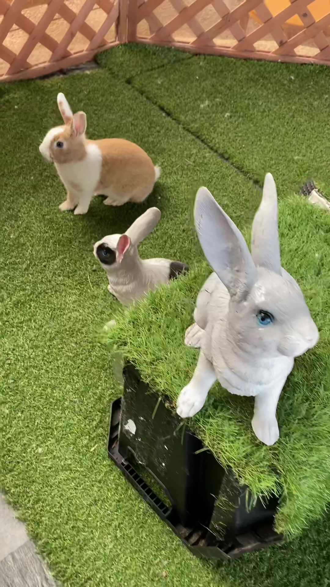 @【公式】月うさぎの里