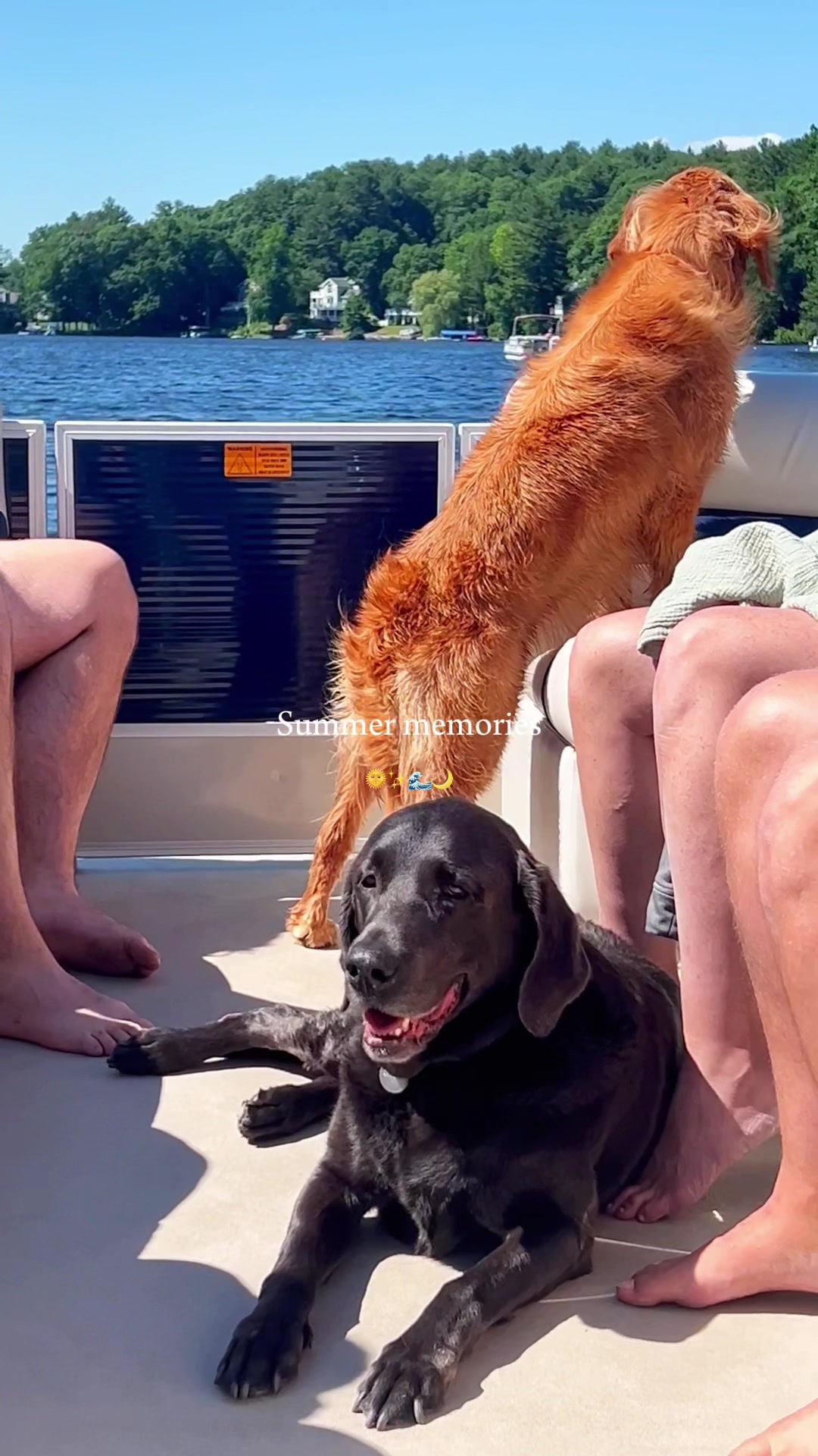 @Adventures of Gunner & Cookie