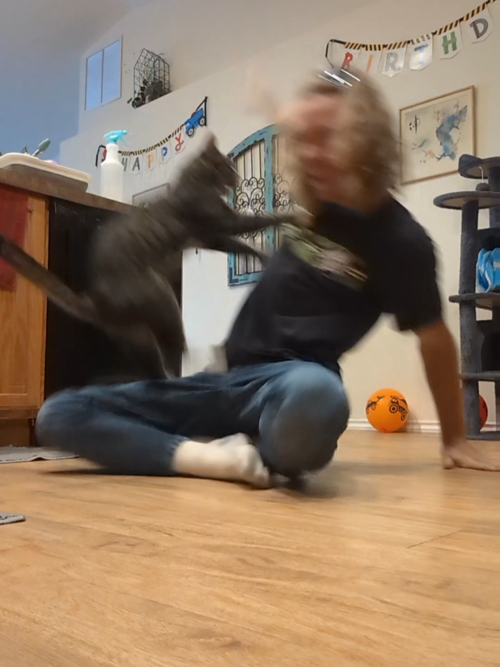 @Rainy the Cat