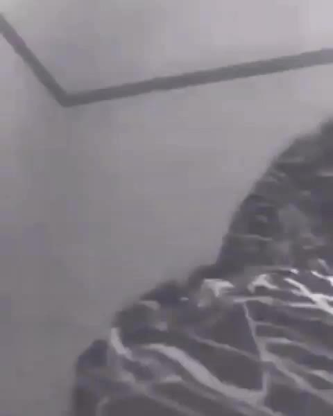 @Liza Rich449