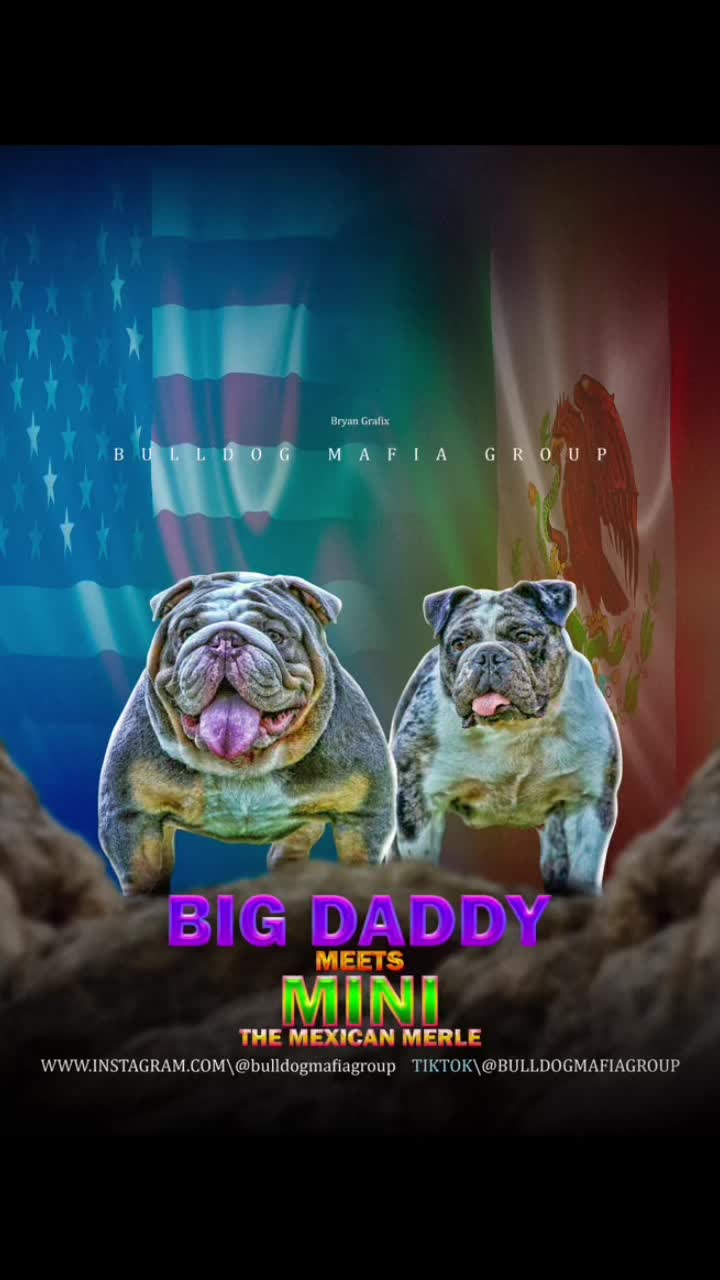 @BulldogMafiaGroup