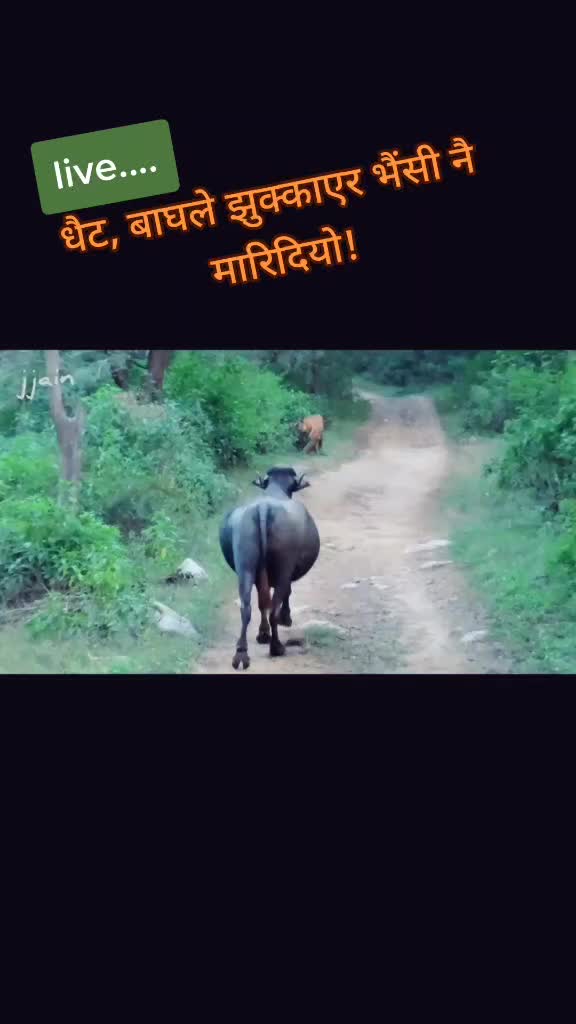 @गिरीराज भण्डारी🇳🇵❤️🇳🇵🌹