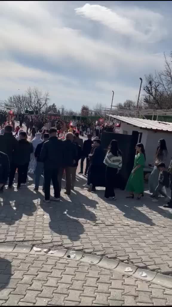 @HALAY 7373