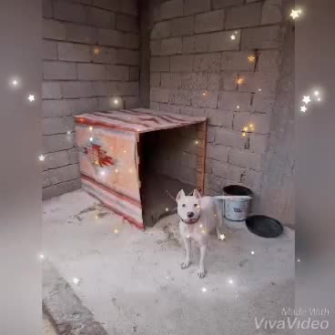 @TALAT GÜLMEN