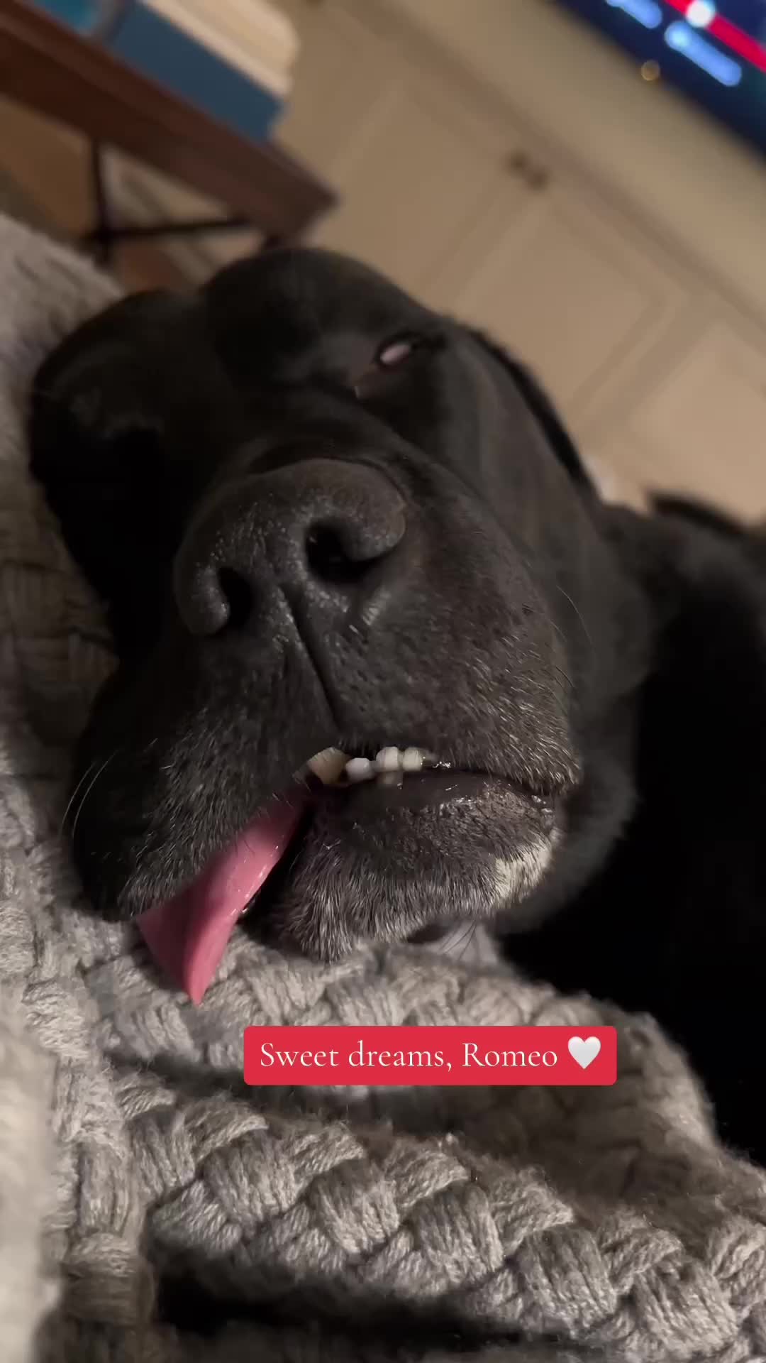 @hollyejacobs