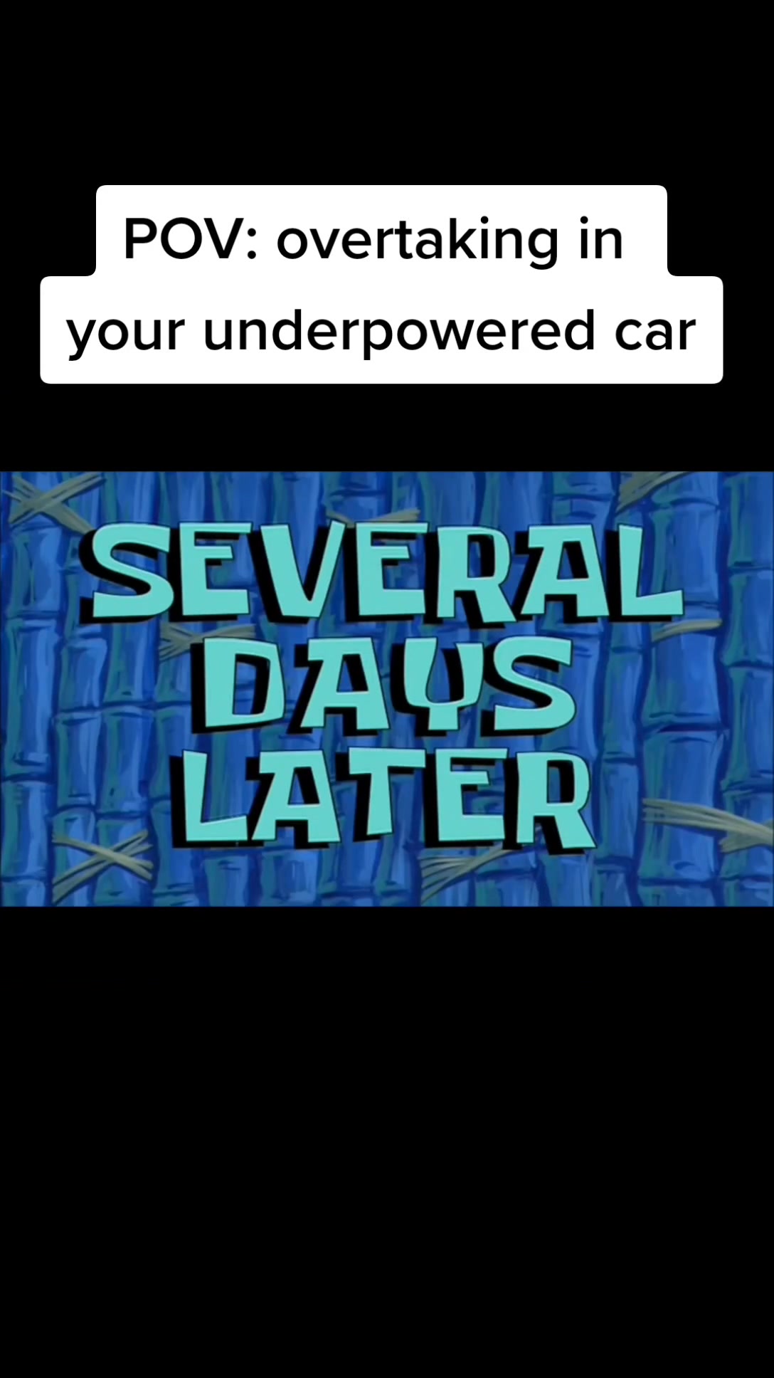 @pepito.jpg