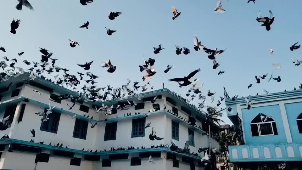 @Syed Rasel Muktadir