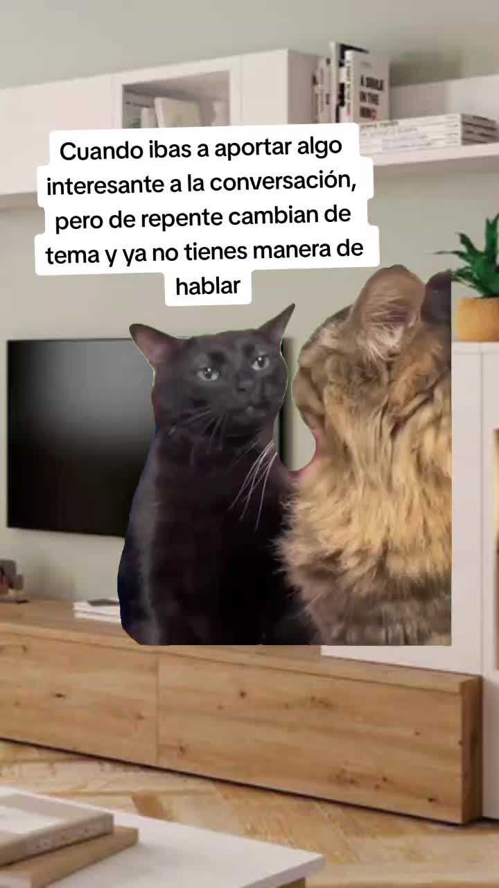 @Elio