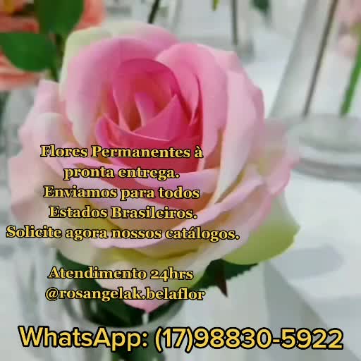 @Ros&acirc;ngela K BelaFlor