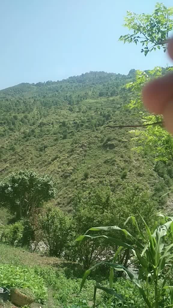 @Manju Sharma