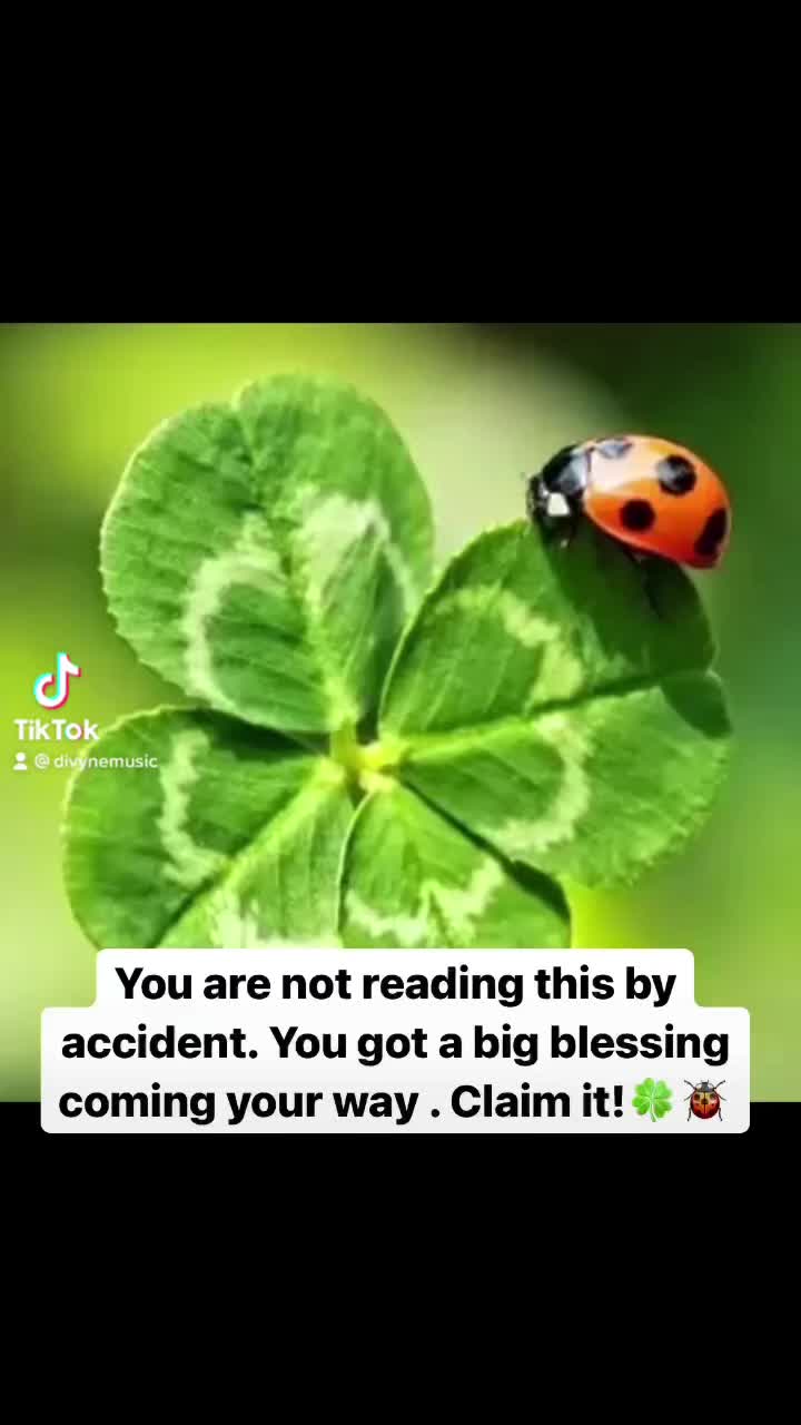 @Divynemusic