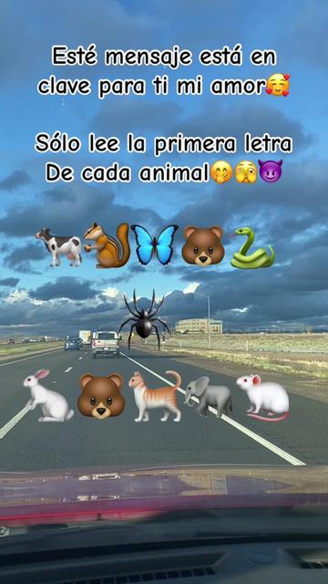 @Alicia Jacobo 📿🍀🤍