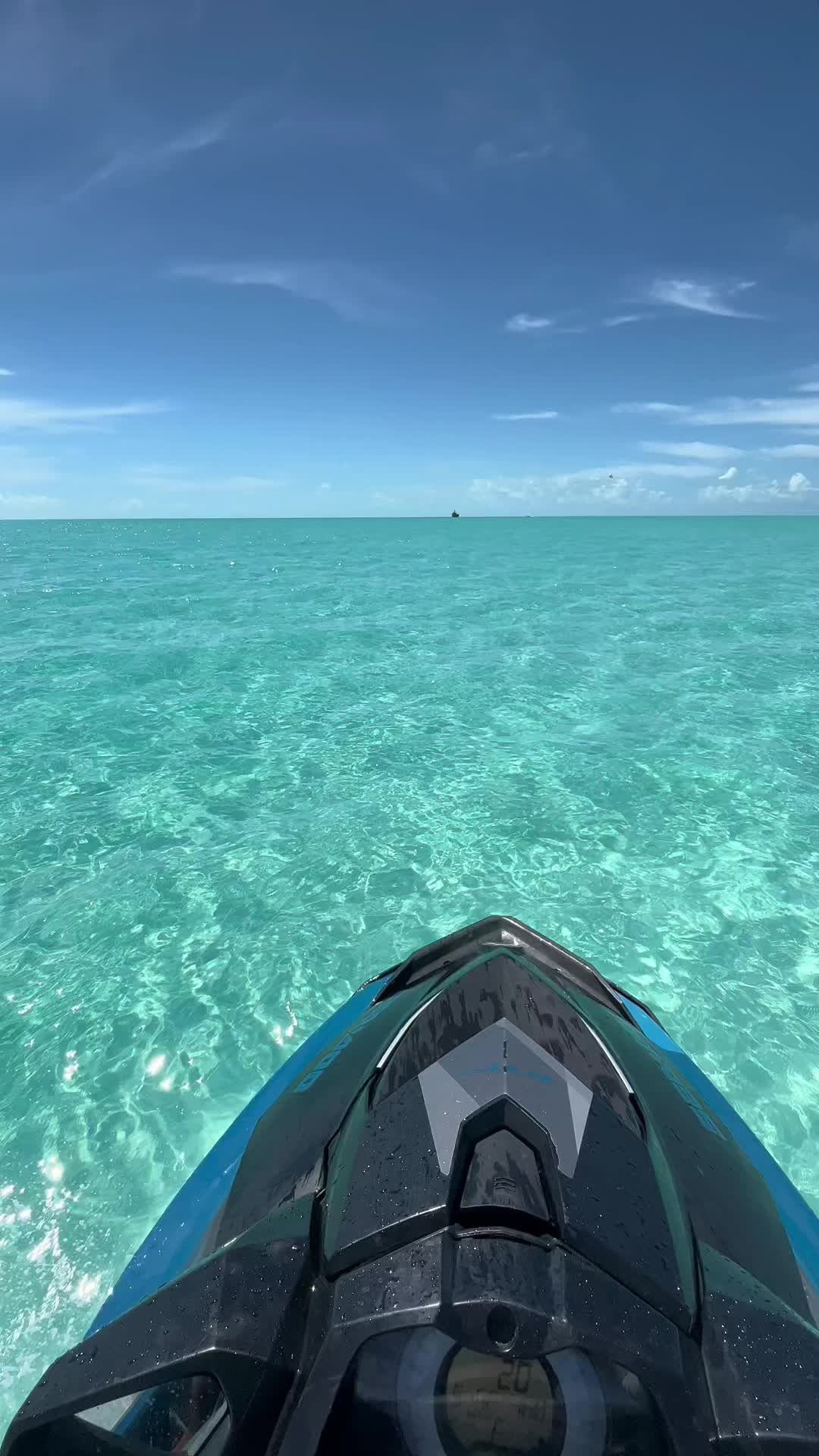 @Wavy Shad🏝🌊