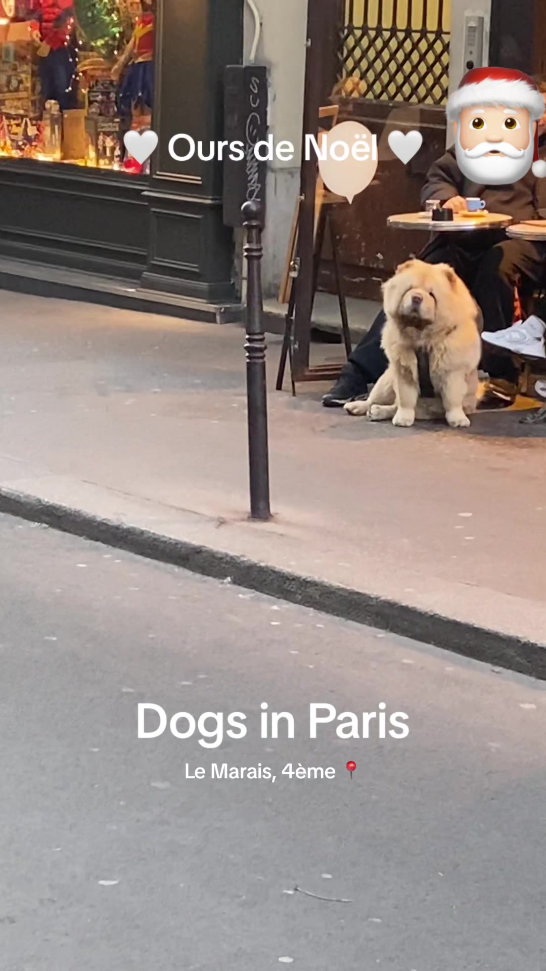@dogs in Paris 🐶