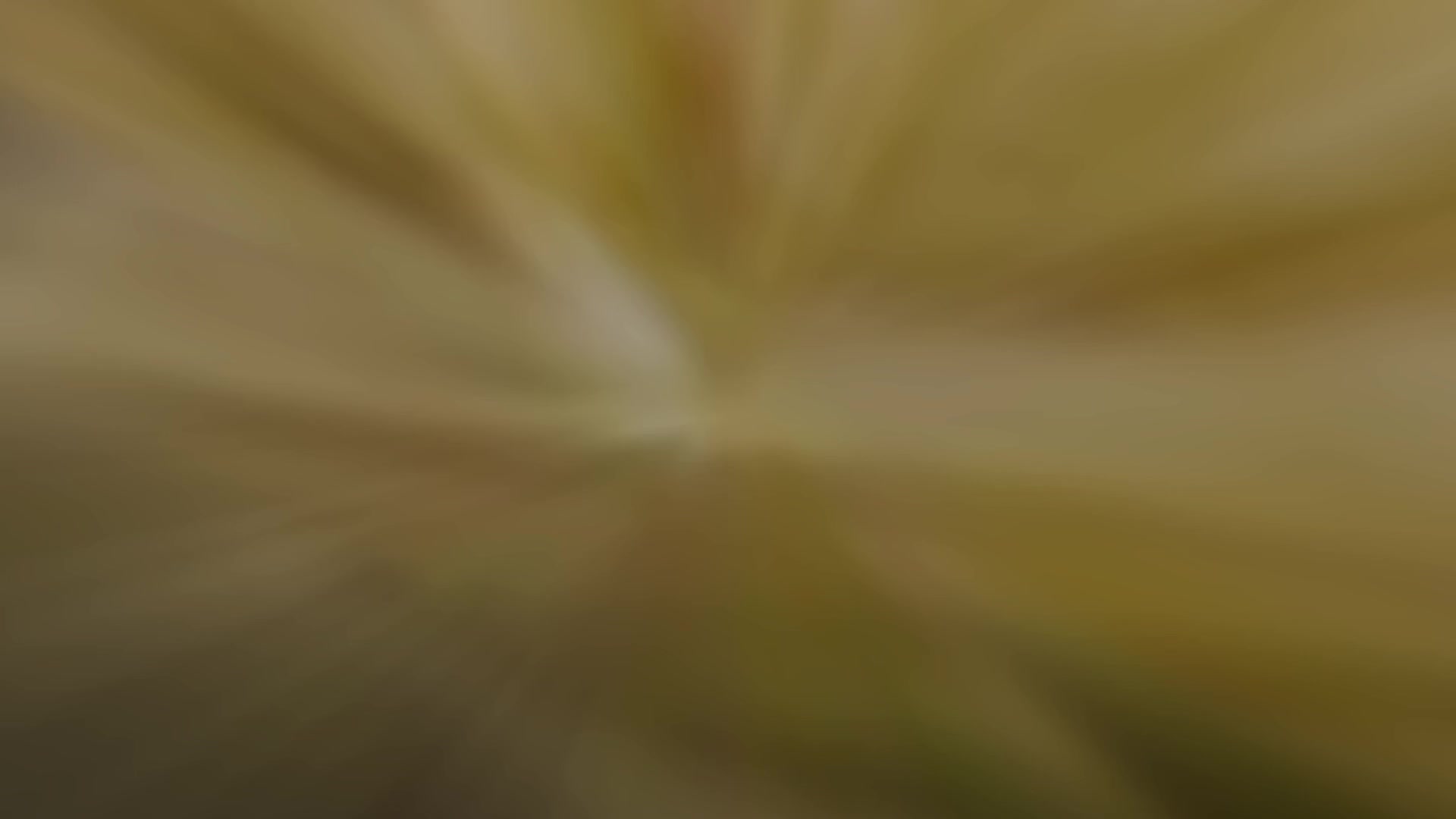 @__d.o.v.e_