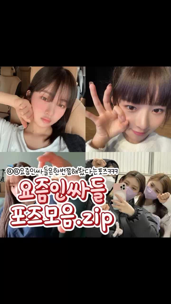 @고먐미