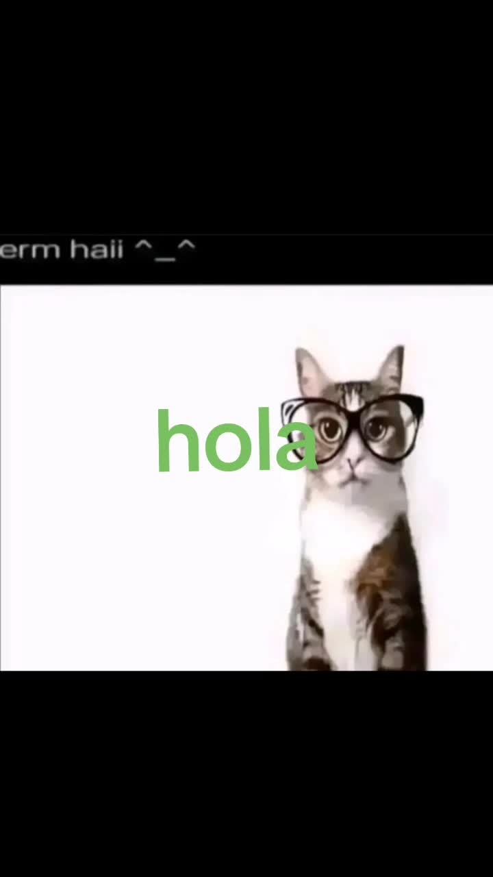 @hola