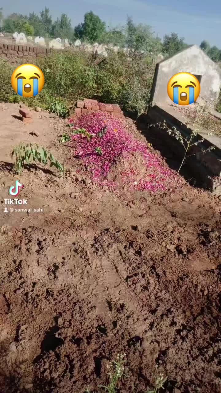 @Sanwal Sahi✅