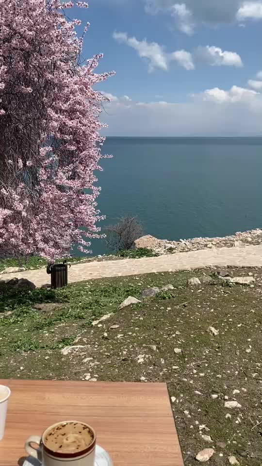 @FURKAN TERAN