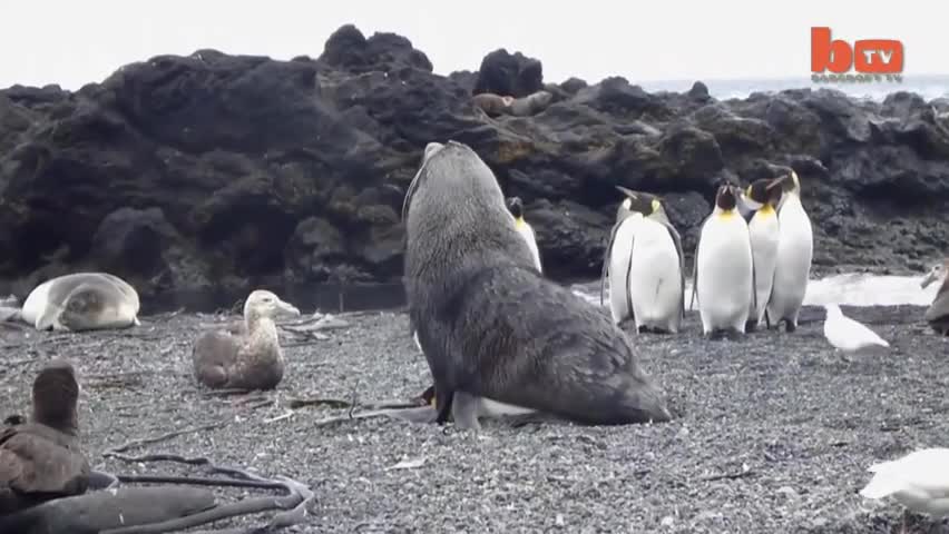 @Mating
