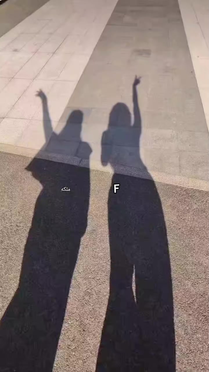 @🤍