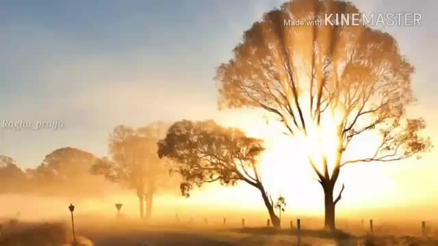 @gombe 2244