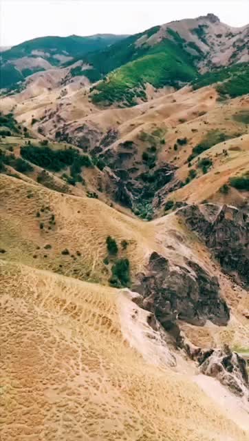 @Alim Albayrak