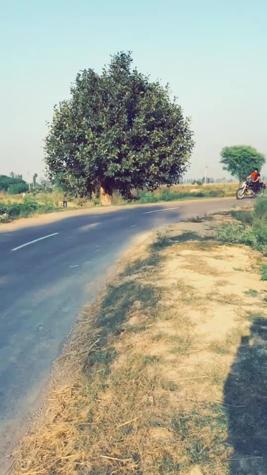 @gillsaab1313