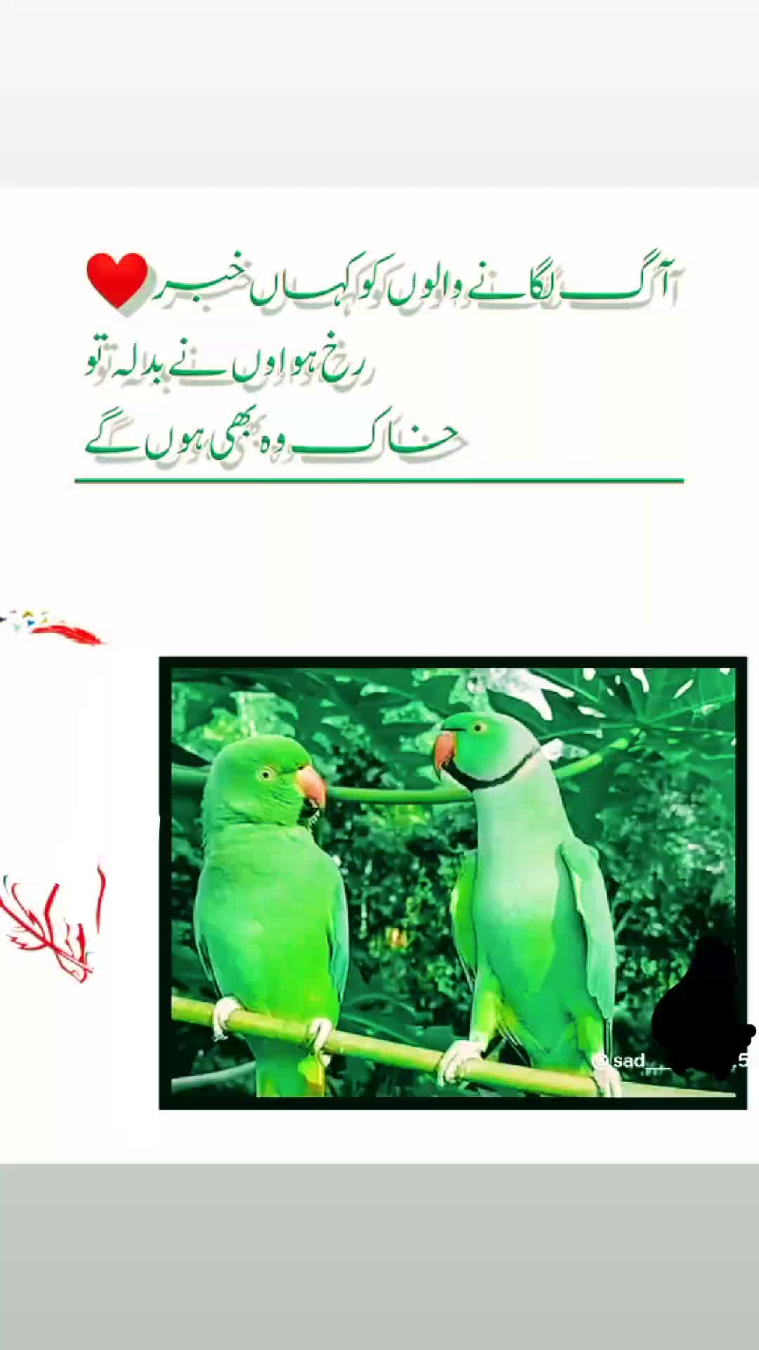 @shah