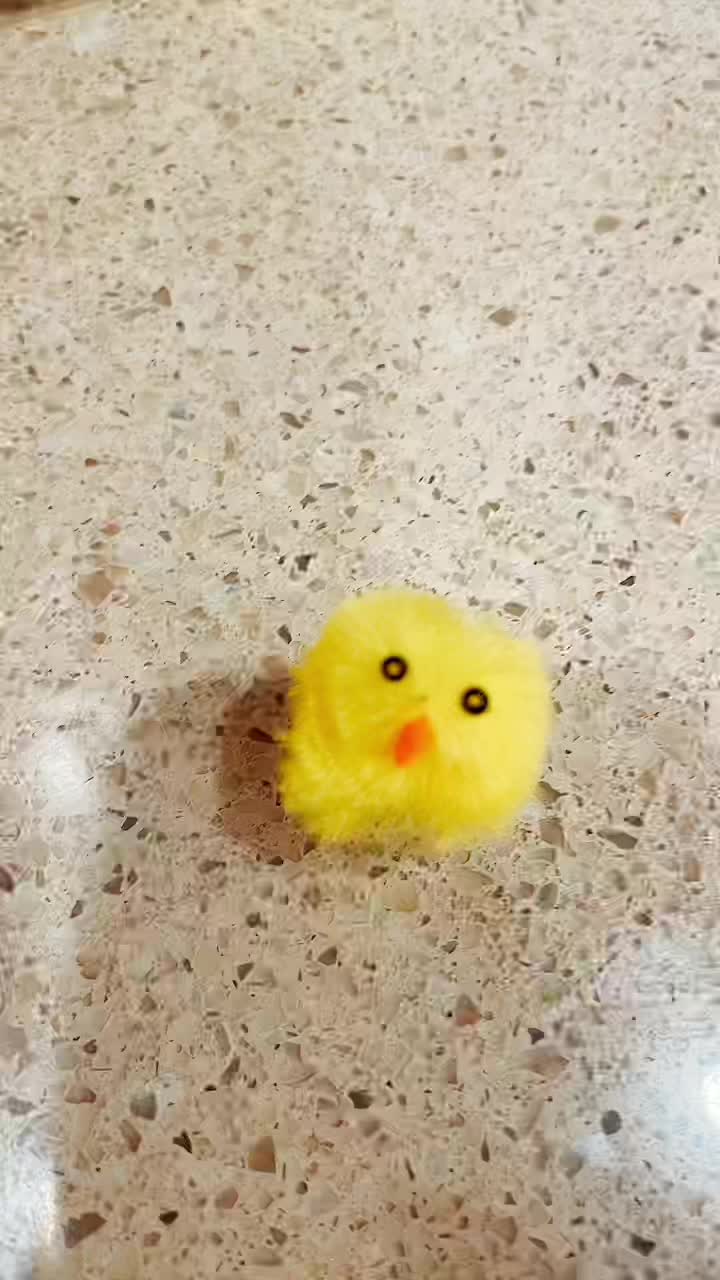 @kevin_the_chick_