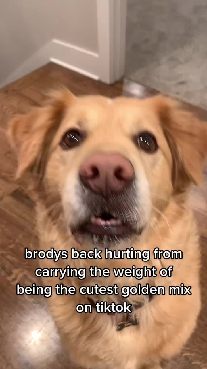 @B R O D Y