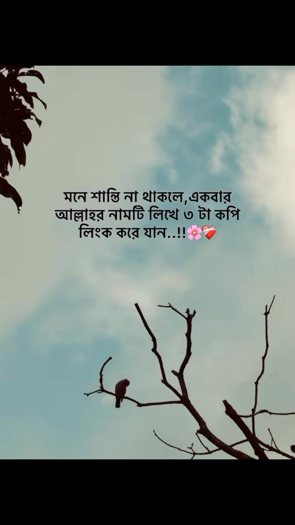 @মিথ্যা মায়া