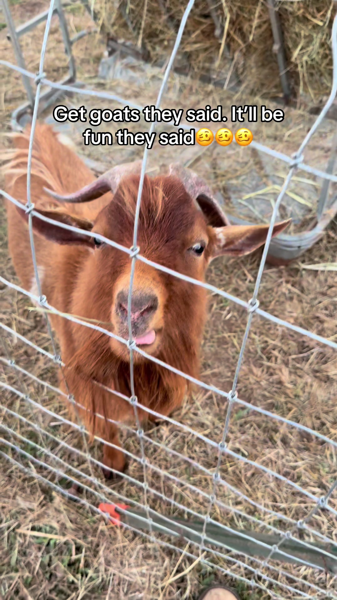 @Momma Tay๐๐๐ฉ๐ผ๐พ๐