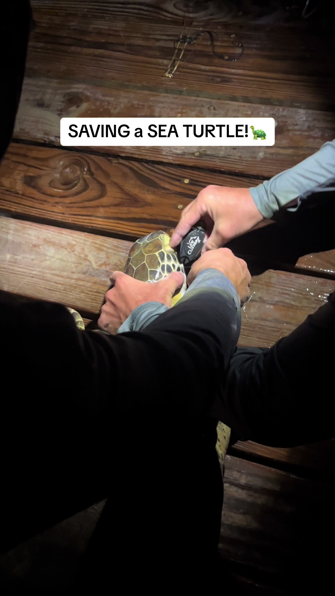 @Hayden.17