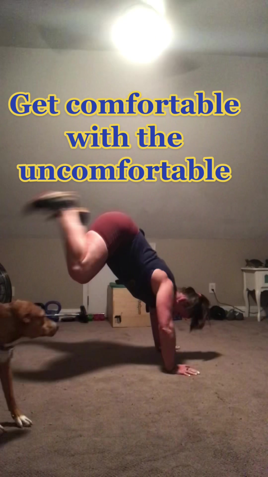 @blakelylizotte