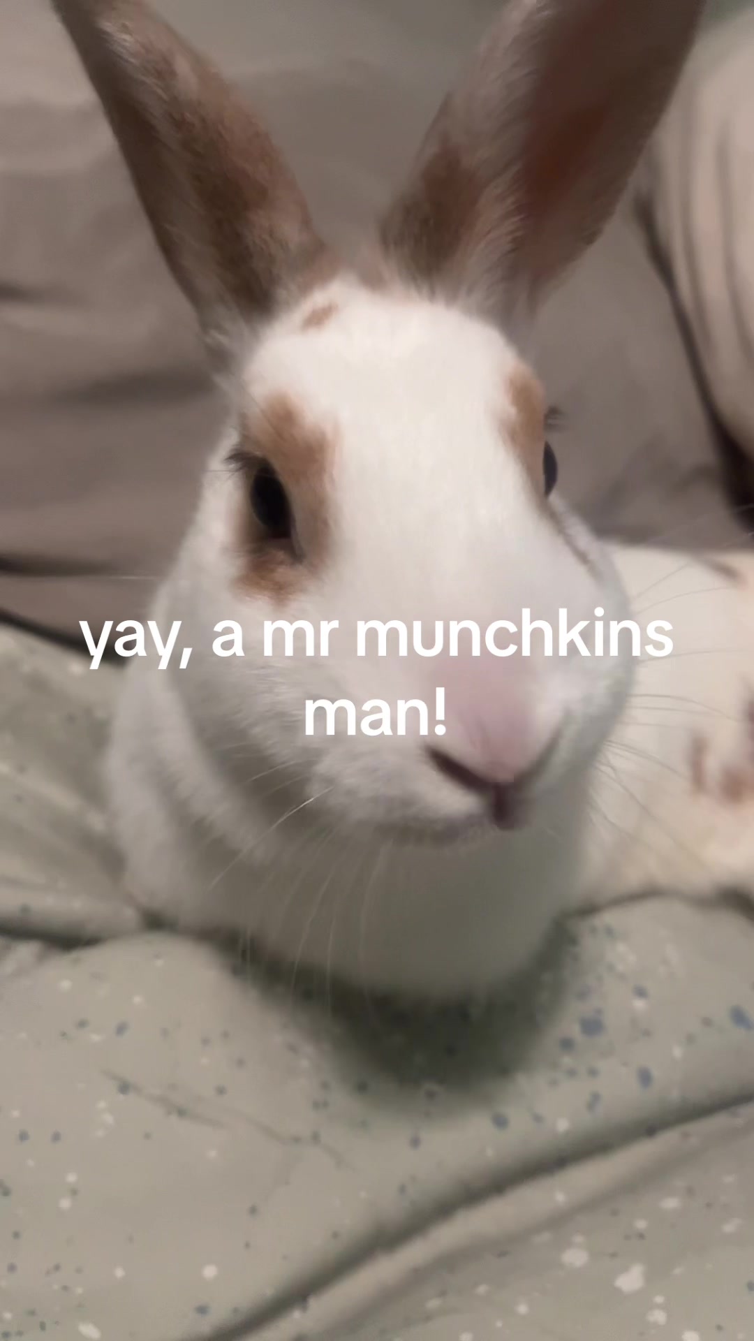 @gl1tter_3nthus1ast