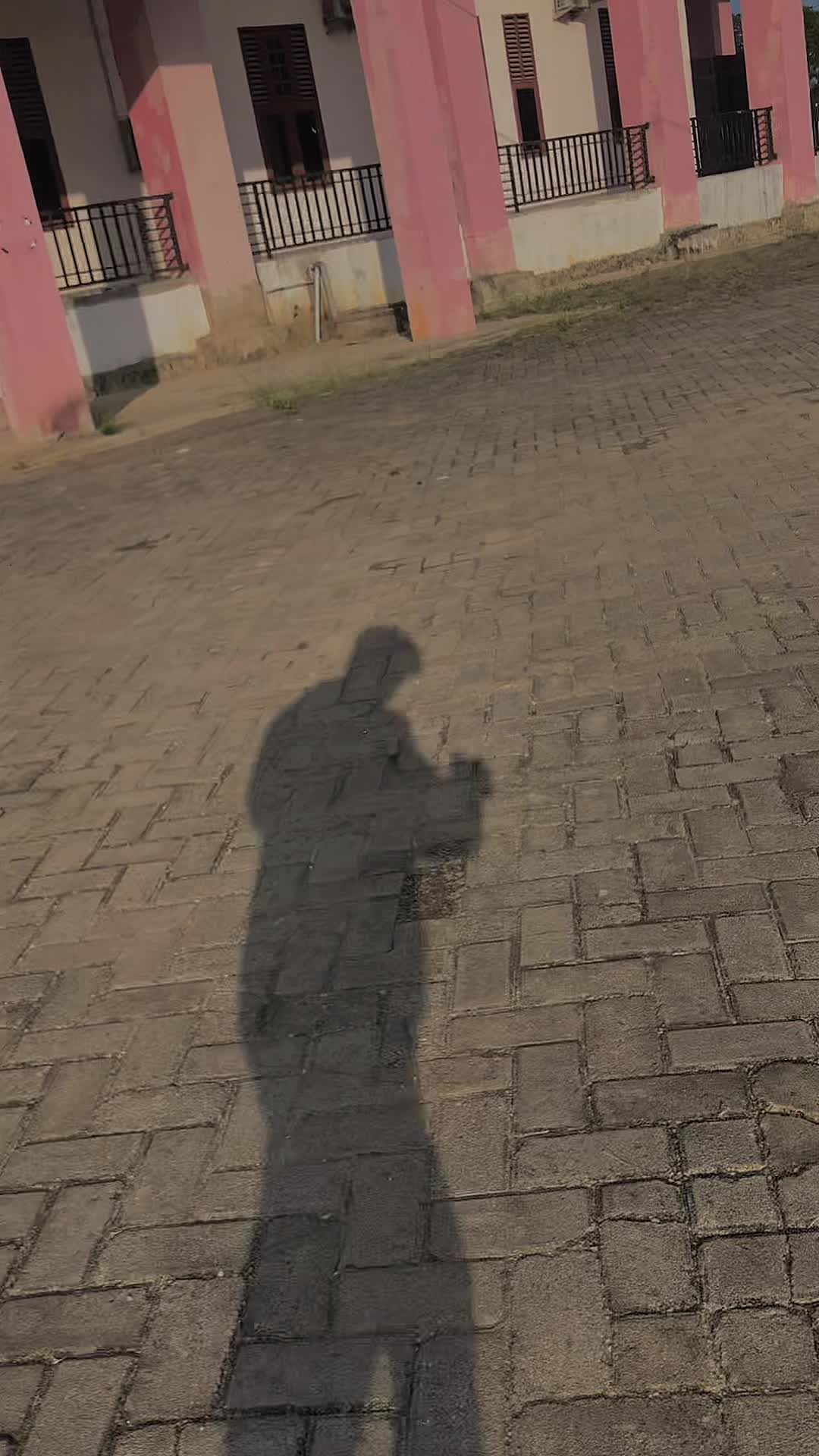 @frmnn_