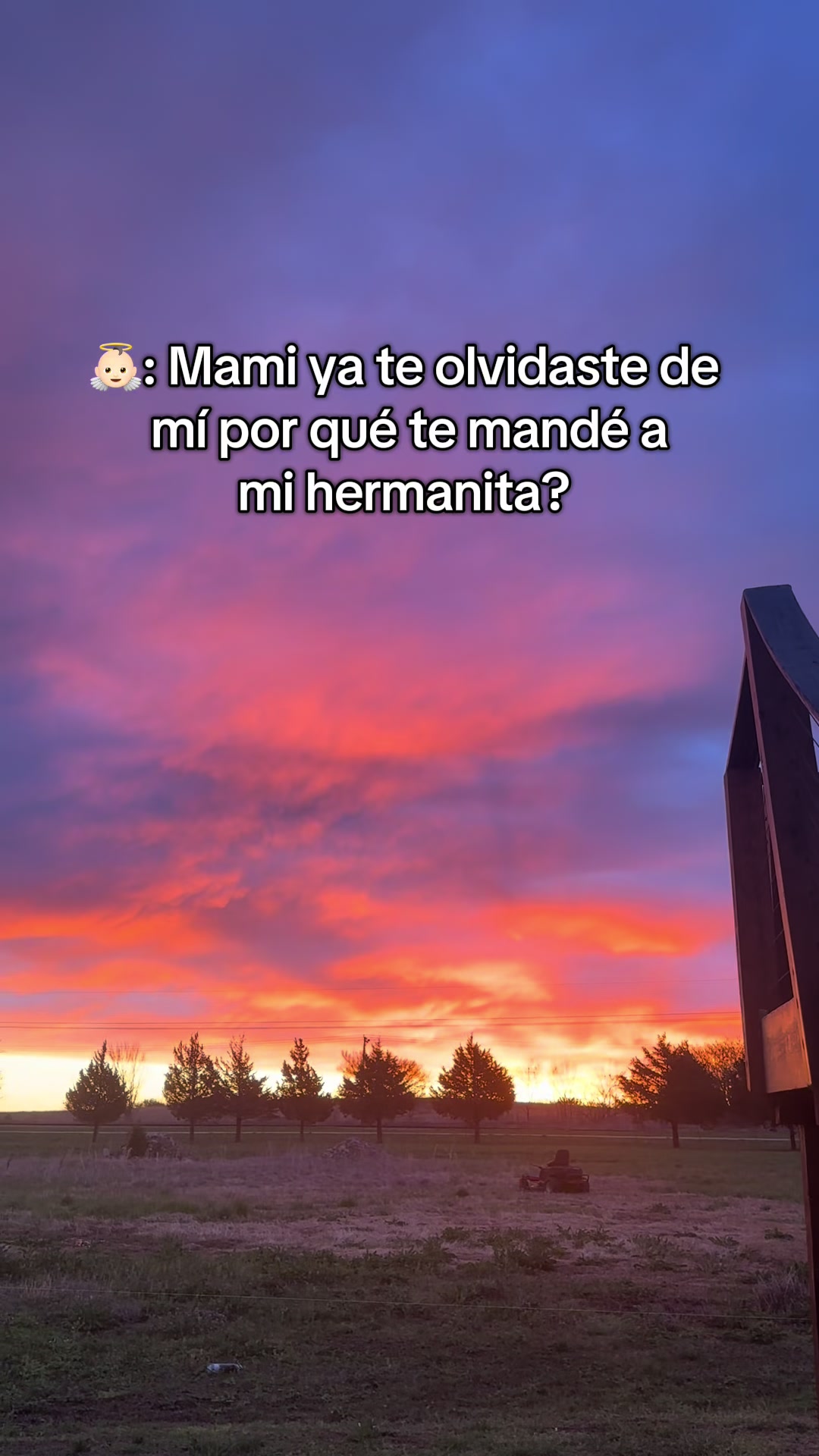 @GuadalupeLN