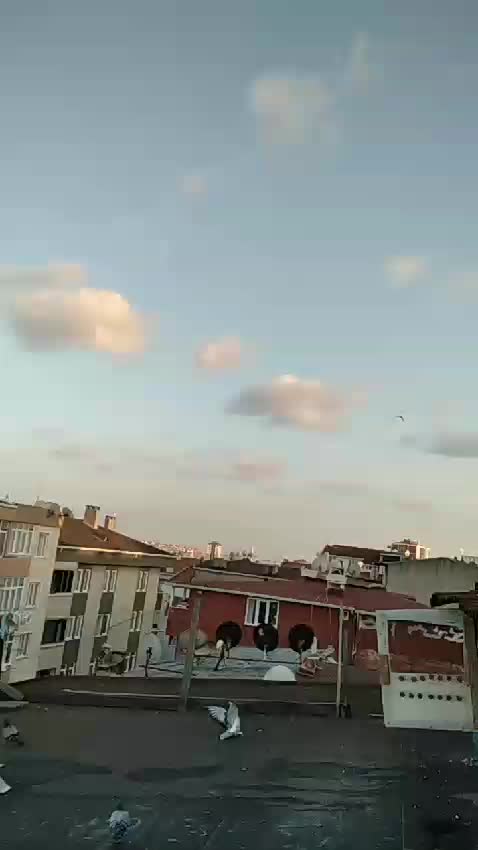 @çarşambalı