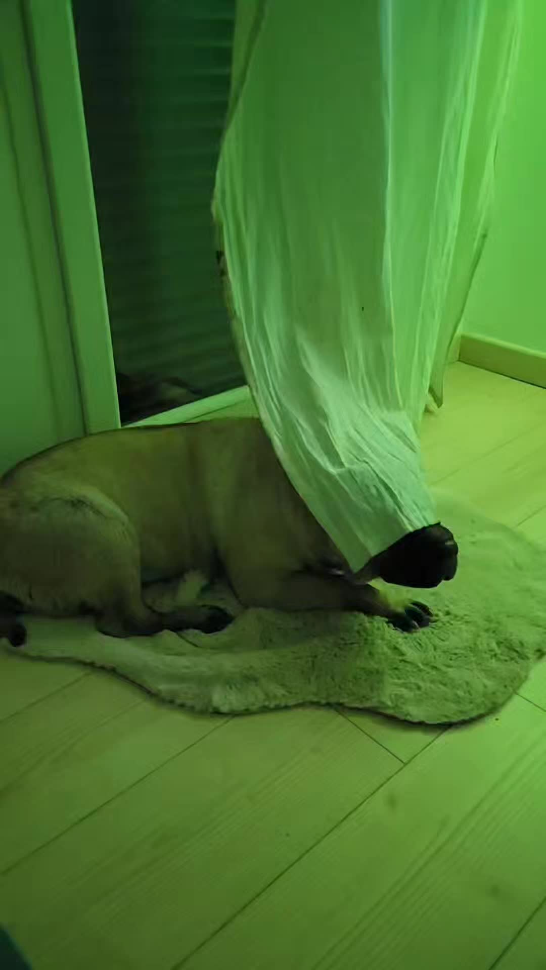 @Just Jolie Déco
