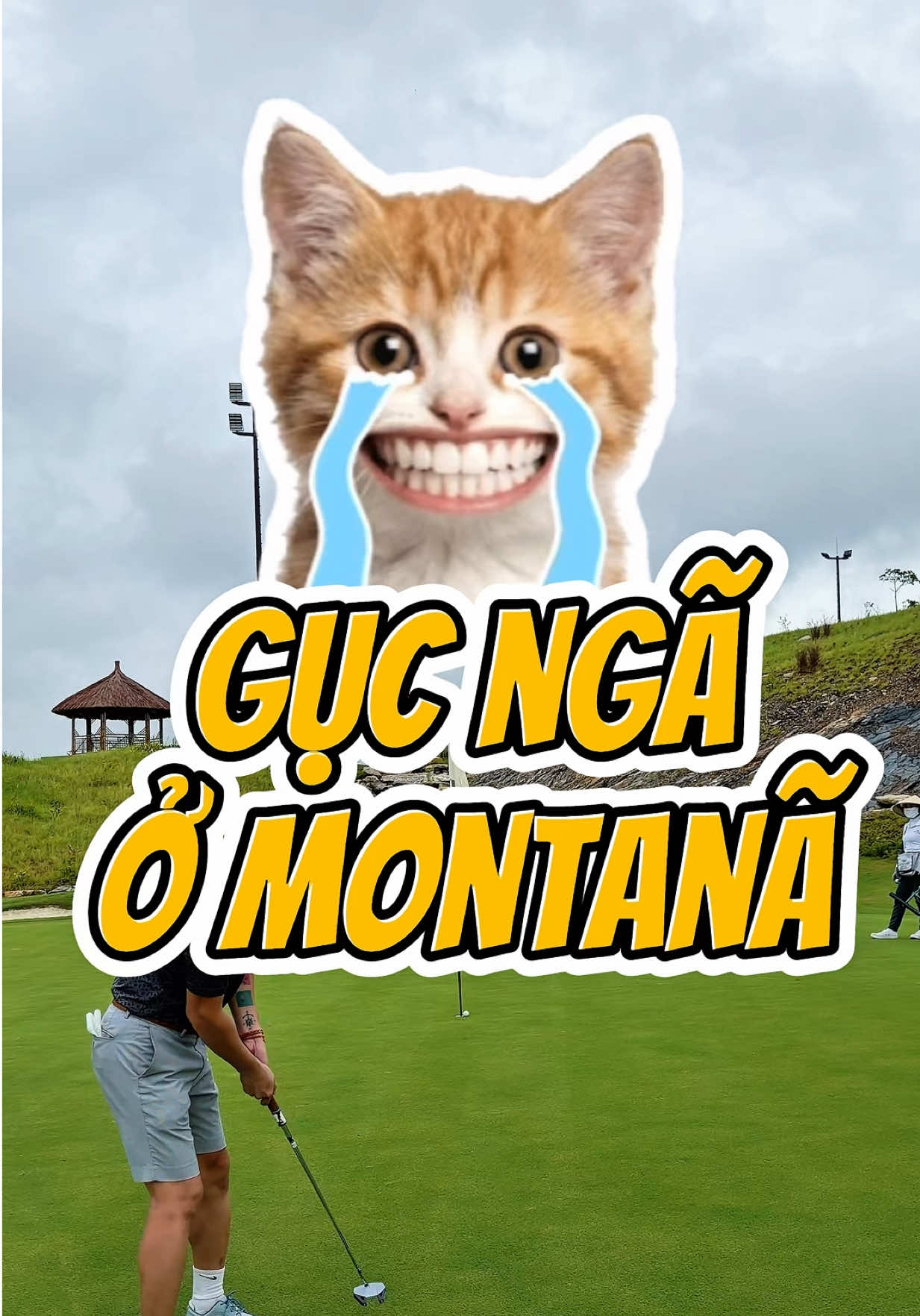 @Trung B&ugrave;i UpGolf