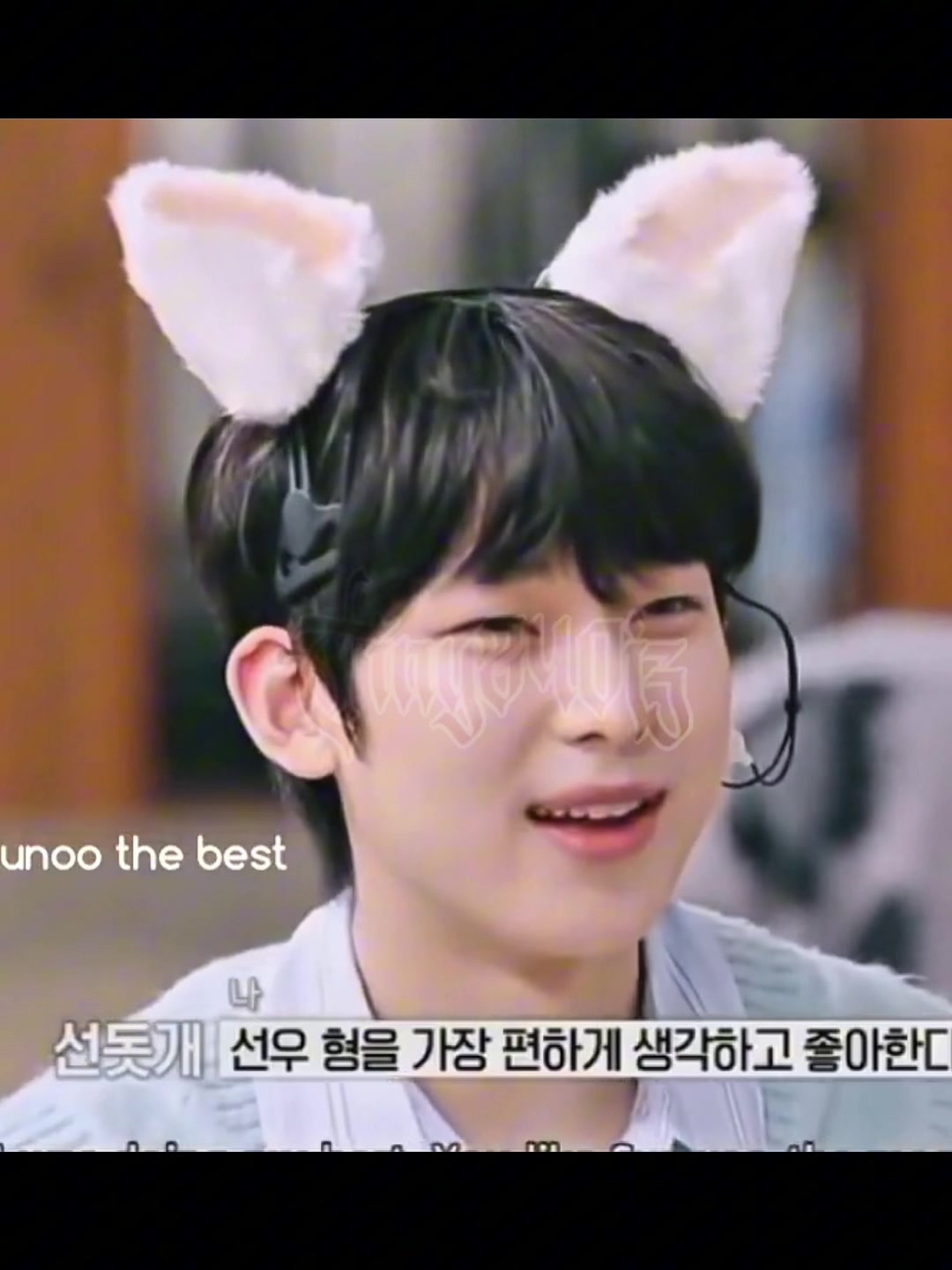 @T🐰