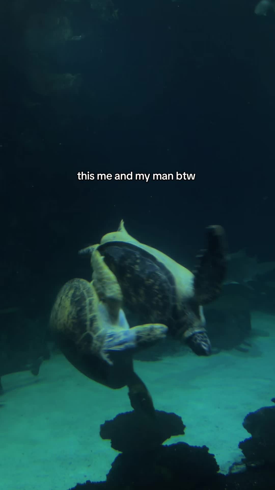 @lei <33