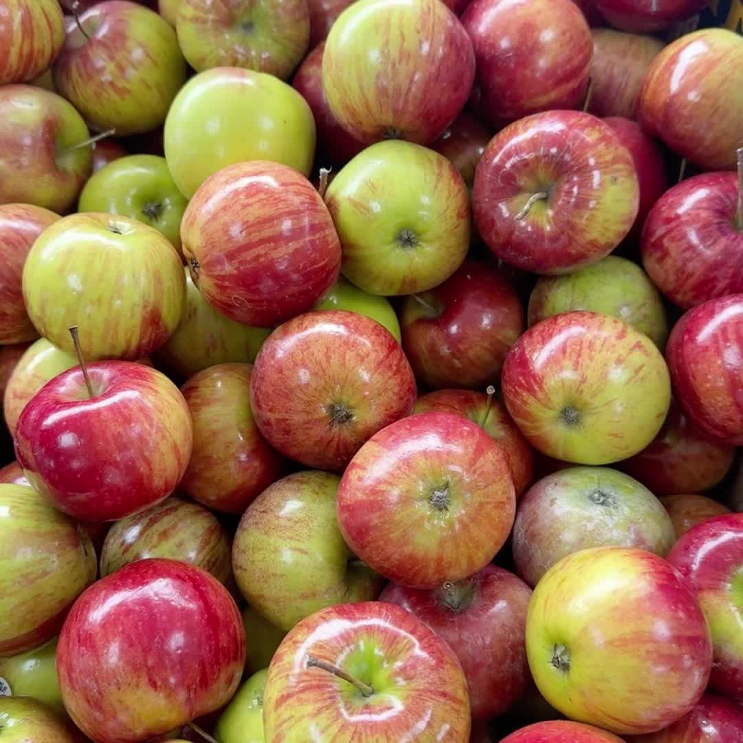 @ᥲ⍴⍴ᥣᥱ ˚.🍎 ᵎᵎ  🪲ˎˊ˗