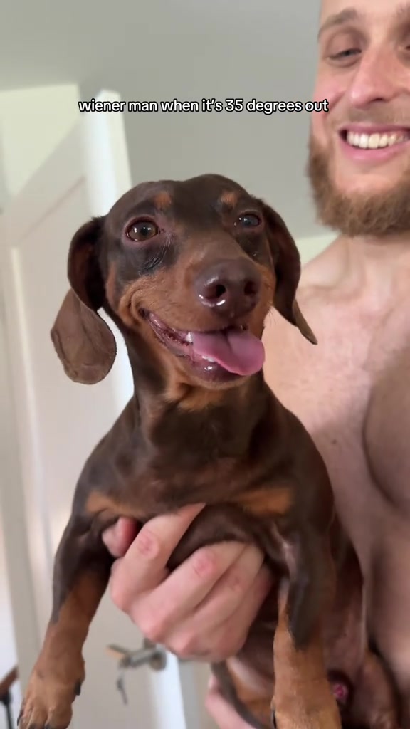 @sebbythesausage