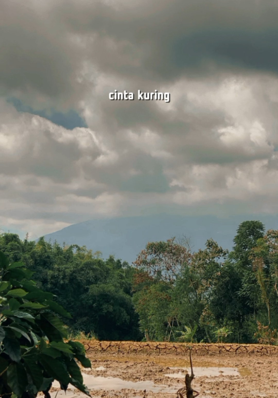 @𝗣𝗲𝘀𝗼𝗻𝗮 𝗗𝗲𝘀𝗮 🍃