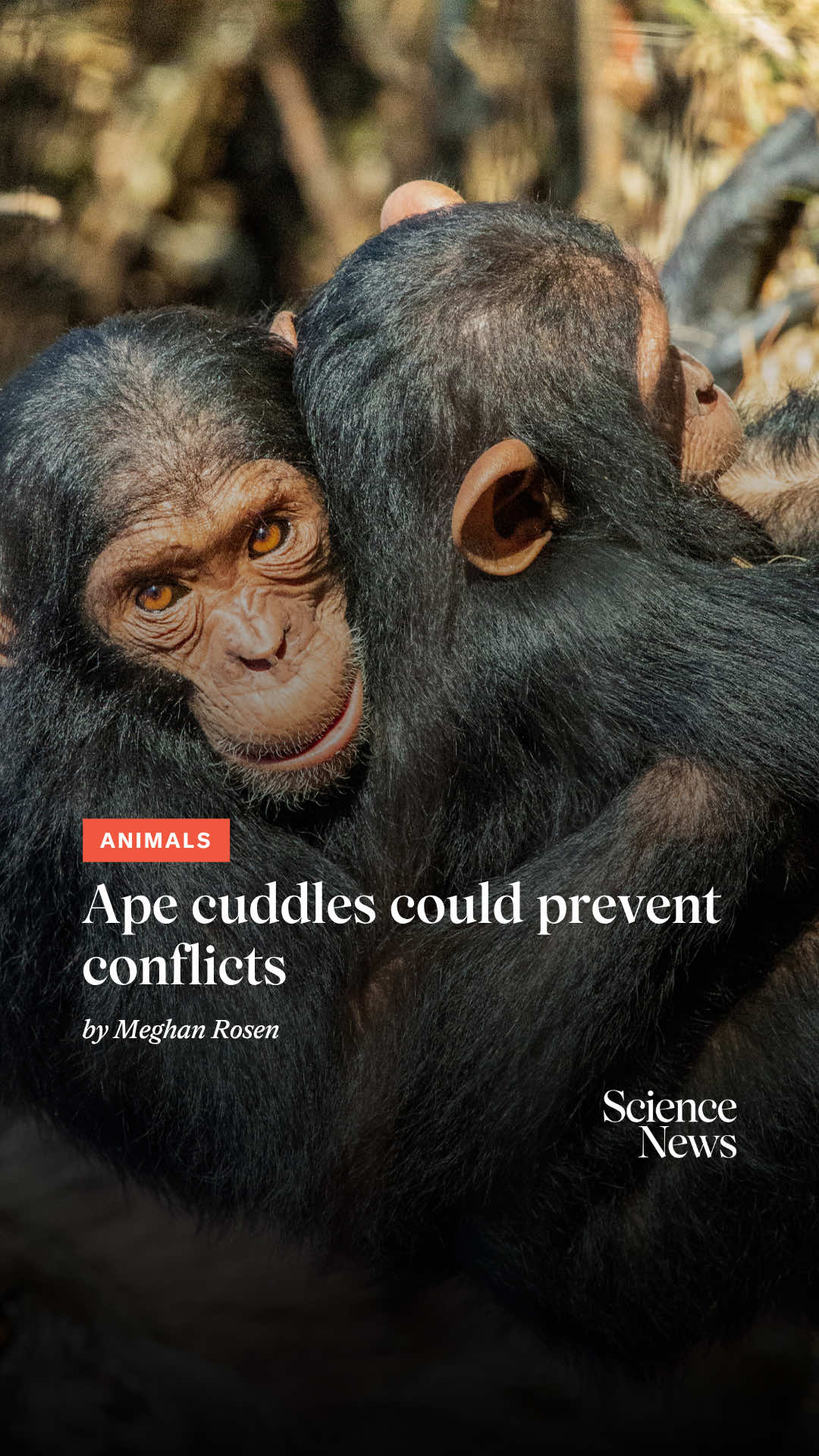 @Science News